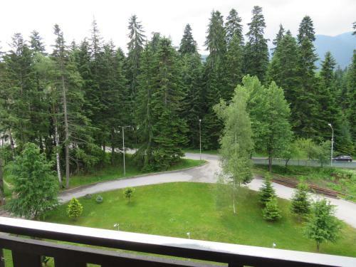 Rivendell Borovets Gardens Apartments
