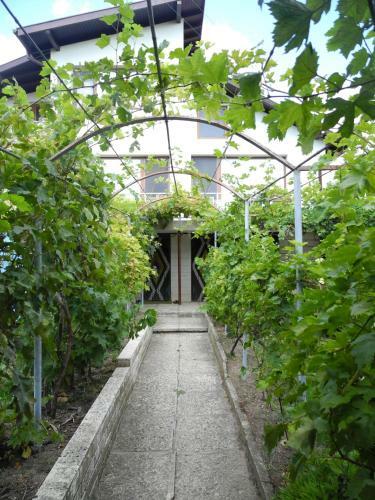 Hostal Guest House Gerry