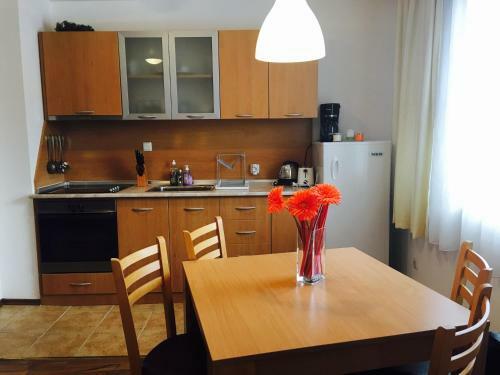 Ramada 2 Ski Apartment
