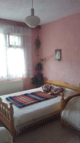 Hostal Edelvays House