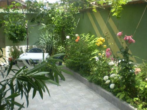 Hostal Guest House Ekaterina