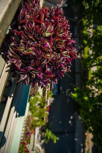 Hostal Guest House Ekaterina