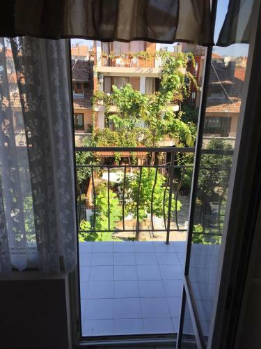 Hostal Guest House Gloria