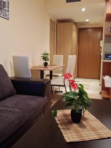 Kaya House Apartment 8