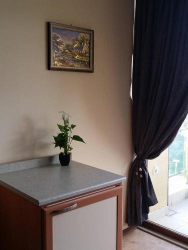Kaya House Apartment 8