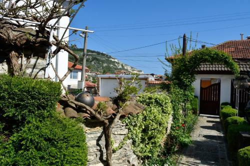 Hostal Guest House Villa Katty