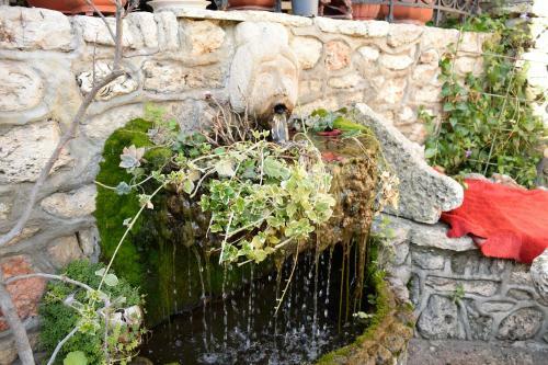 Hostal Guest House Villa Katty