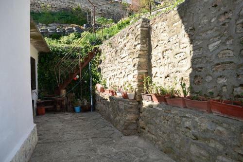 Hostal Guest House Villa Katty