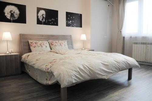 Apartment Dragolev