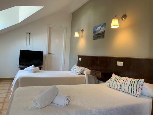 Hotel Arena