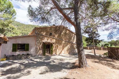 Villa Son Falconer