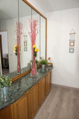 Minerva Apartment