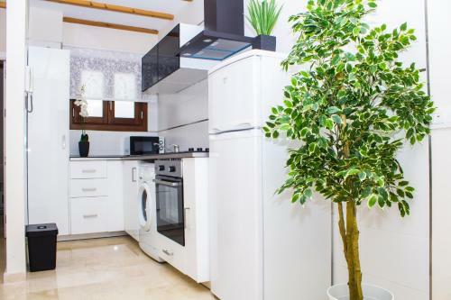 Apartamentos Centro Puerto de Santa Maria