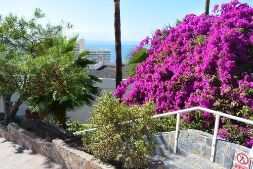 Apartamento Los Gigantes
