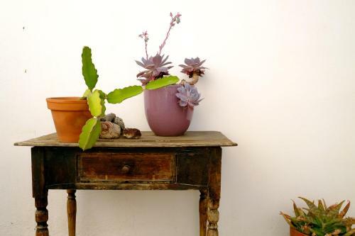 Apartamento La Posidonia