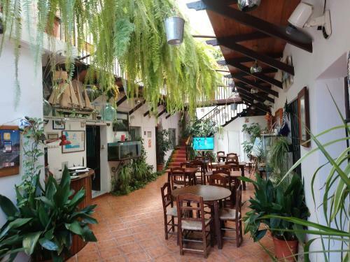 Hostal Cristina