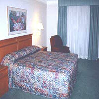 Hotel La Quinta Inn San Marcos