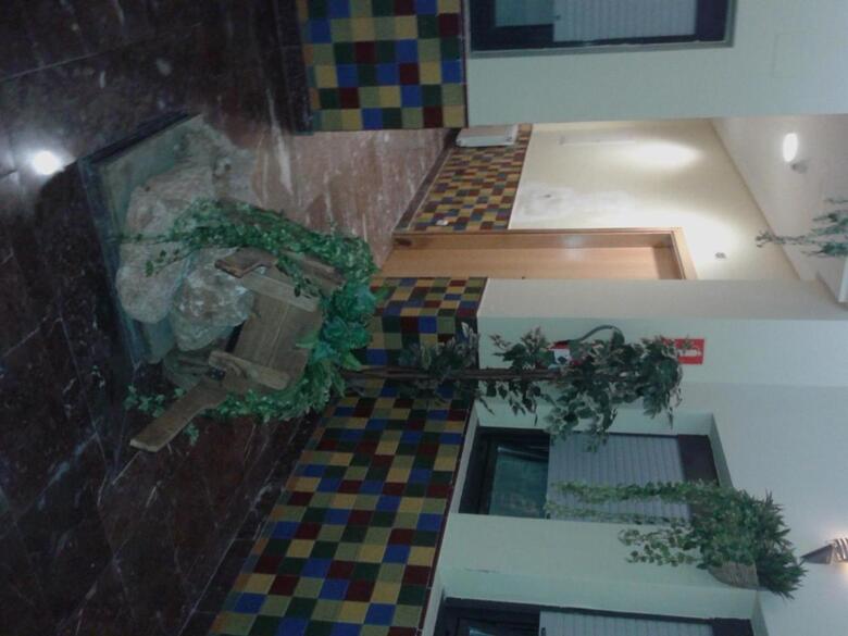 Hotel Aitana