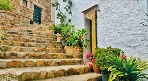 Apartamento Tossa De Mar