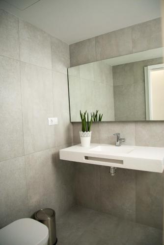 Aloe Apartment 102