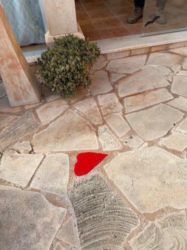 Hotel S�hort De Can Carri�