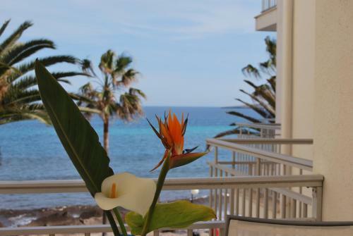 Apartamentos Alborada