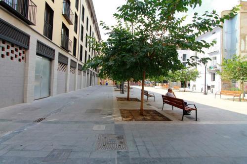 Apartamentos Hiedra Y Tapiner�a Mercado Central