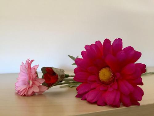 Apartament Can Callis