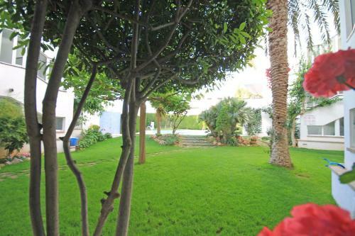 Apartment Canna