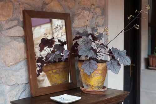 Apartahotel "corru San Pum�s"
