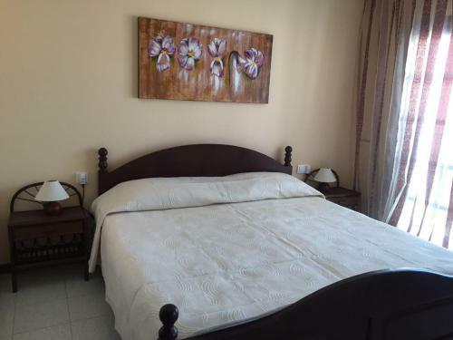 Magnific Las Americas View Apartment