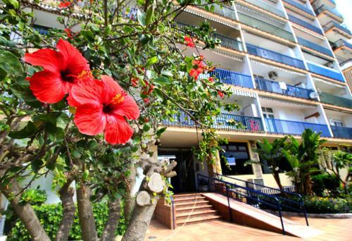 Apartamento En Aguadulce