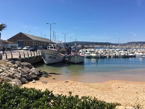 Apartament La Gamba De Palam�s