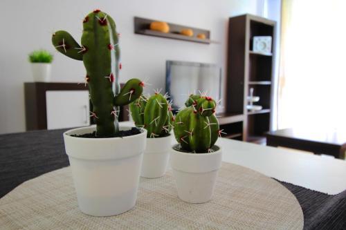 Apartamento En Aguadulce Sur