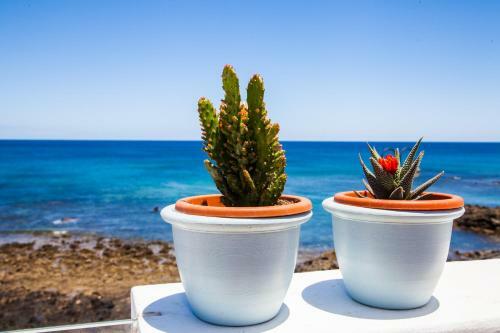 Apartamento Suite Ocean Rooms