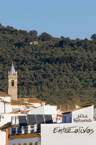 Hotel Entreolivos