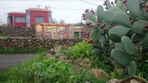 Casa Elvira