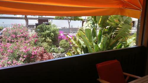 Apartamentos Club Canario
