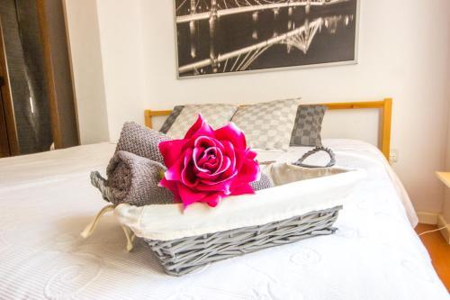 Apartamentos Alamos