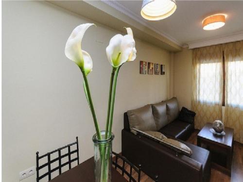 Apartamento Medina "las Eras"