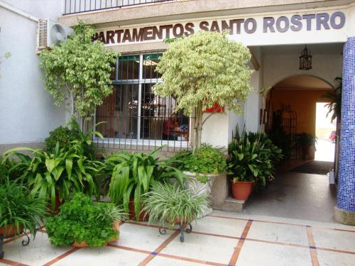 Apartamentos Tur�sticos Santo Rostro