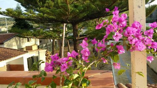 Bed & Breakfast Ifioridisicilia