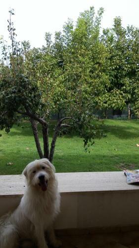 Bed & Breakfast Ifioridisicilia