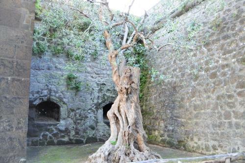 Hostal La Piccola Sorrento