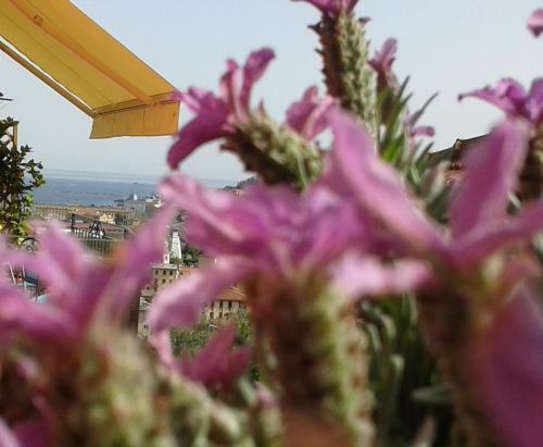 Hostal Dreams Guest House