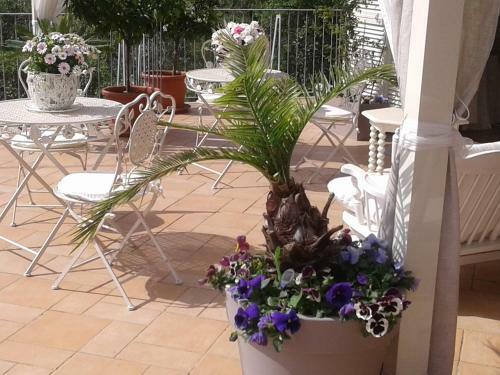 Hostal Dreams Guest House