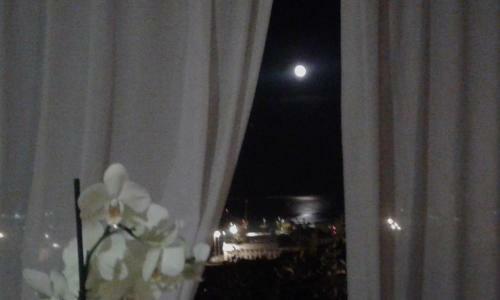 Hostal Dreams Guest House