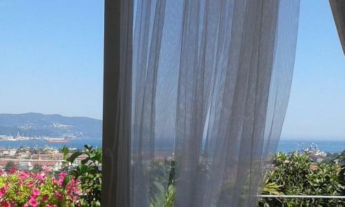 Hostal Dreams Guest House