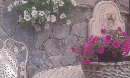 Hostal Dreams Guest House