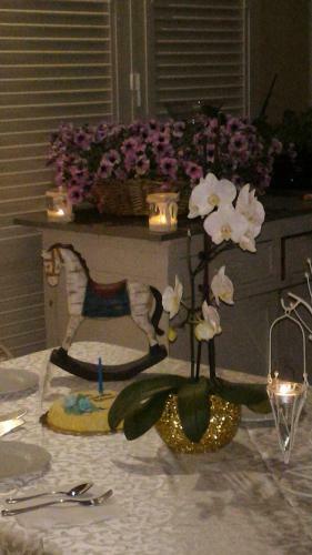 Hostal Dreams Guest House